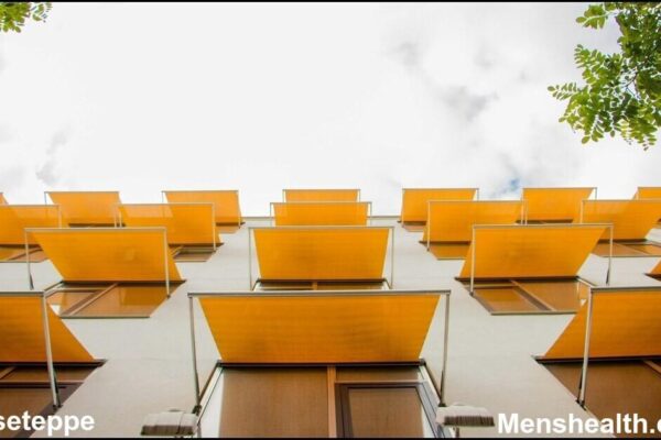 Markiseteppe Elevates Outdoor Living markiseteppe